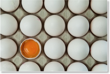 EIER. (C) INGO GERLACH