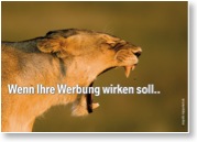 ...DANN SOLLTEN SIE MAL MIT GERLACH WERBUNG & FOTOGRAFIE SPRECHEN. (c) INGO GERLACH