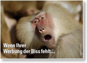 ...DANN SOLLTEN SIE MAL MIT GERLACH WERBUNG & FOTOGRAFIE SPRECHEN. (c) INGO GERLACH