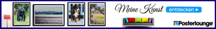banner-728-90