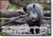 ...DANN SOLLTEN SIE MAL MIT GERLACH WERBUNG & FOTOGRAFIE SPRECHEN. (c) INGO GERLACH