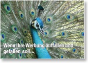 ...DANN SOLLTEN SIE MAL MIT GERLACH WERBUNG & FOTOGRAFIE SPRECHEN. (c) INGO GERLACH